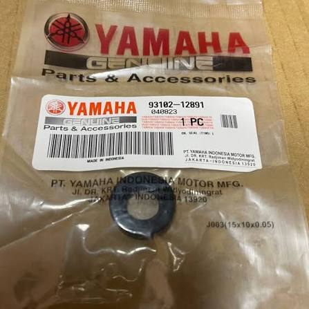 Gear Lever oil Seal R15v3